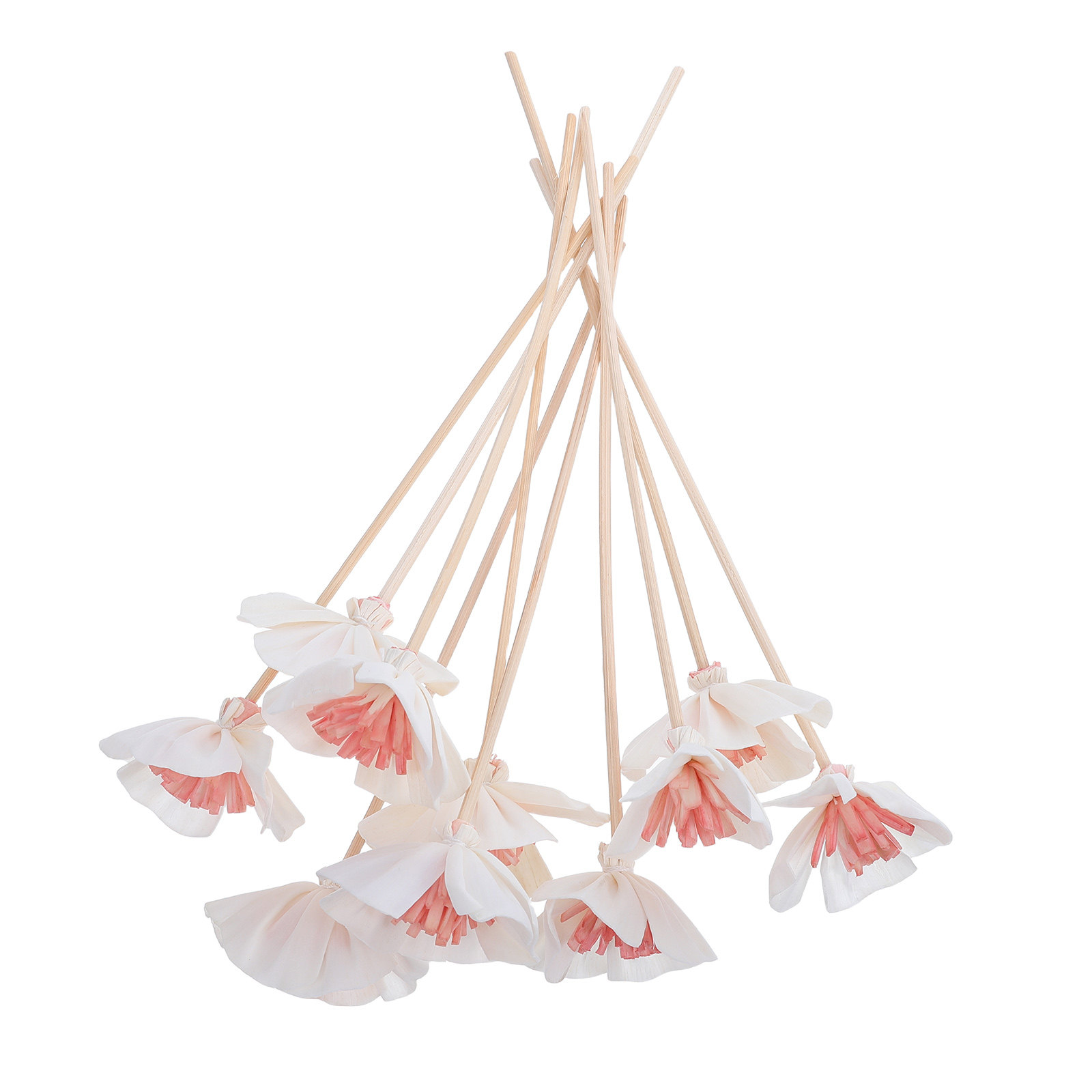 Home And You Fragrance Diffuser - 10 stuks etherische olie diffuserstokjes, zwart,