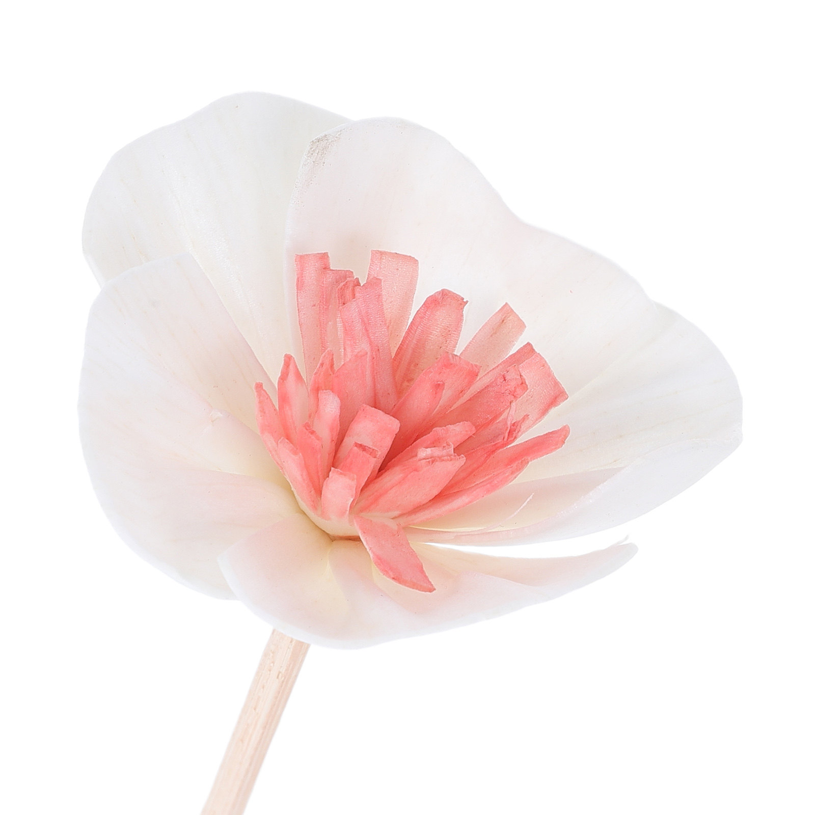 10 stuks etherische olie diffu - Home And You Fragrance Diffuser recensie en prijs