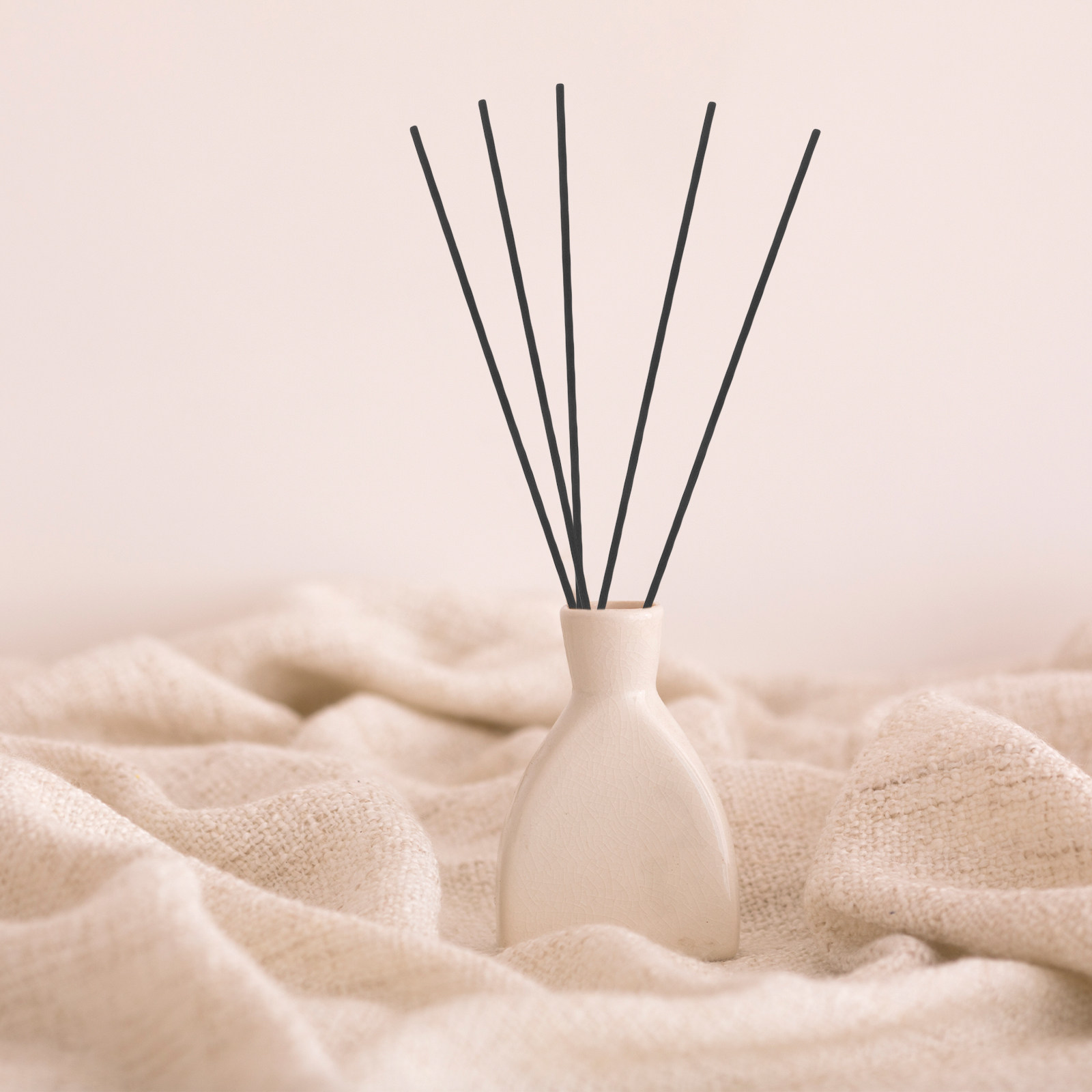 100 Stuks Vezel Riet Diffuser  - Home And You Fragrance Diffuser recensie en prijs