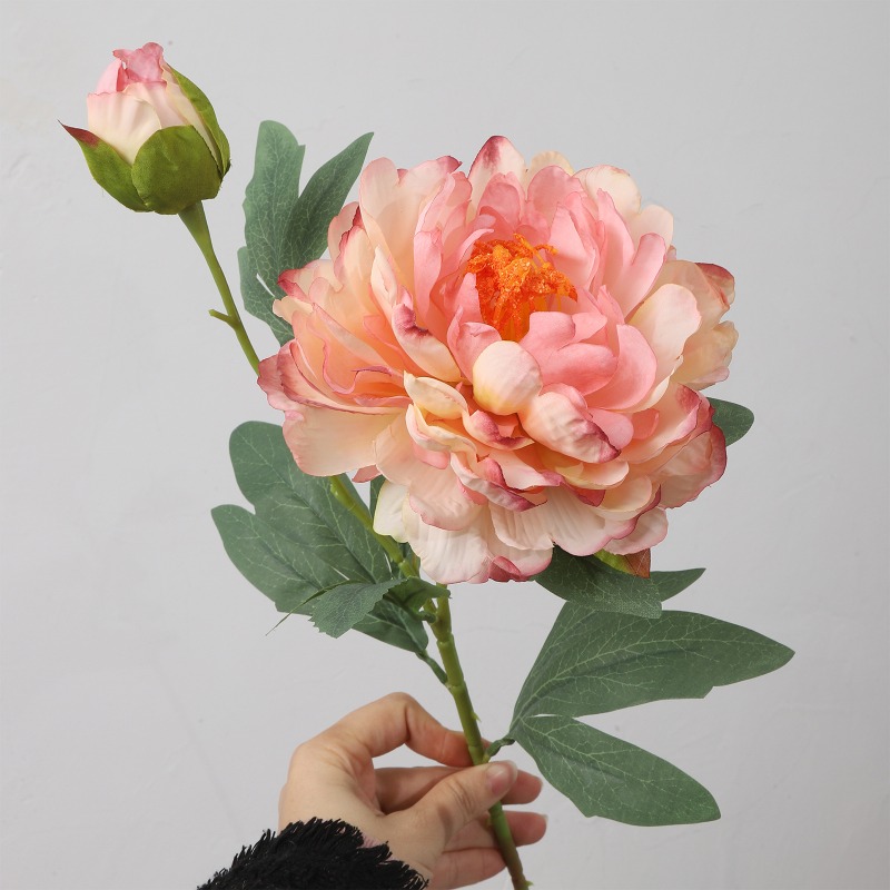 4 stuks gesimuleerde pioenroze - Home Fragrance Edg recensie en prijs